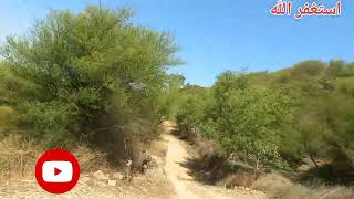 Travelling vlog with family part1|2kind|khoobsurat|mountains views|gossip|greenry#hassimazak#viral#