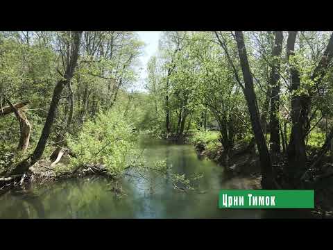 Reke i jezera - Crni Timok