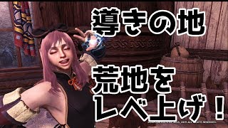【MHWI】導きの地レベル上げ：荒地編【PS4版/モンハンワールド】