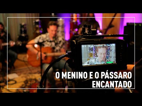 O Menino E O Pássaro Encantado - Pedra Letícia