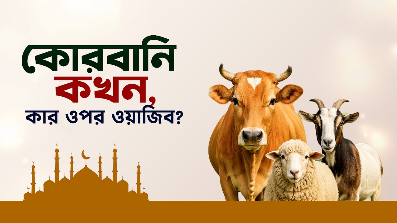 কার ওপর কোরবানি ওয়াজিব এবং কখন? সম্পূর্ণ ইসলামিক গাইড || Qurbani || Eid al-Adha