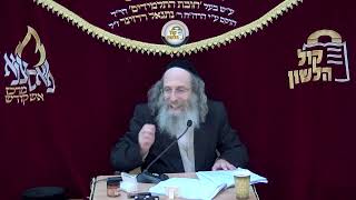 הרב אלימלך בידרמן | 🔴שידור חי! שיעור פרשת לך לך תשפ"ו (ארגון קול הלשון) - התמונה מוצגת ישירות מתוך אתר האינטרנט יוטיוב. זכויות היוצרים בתמונה שייכות ליוצרה. קישור קרדיט למקור התוכן נמצא בתוך דף הסרטון הרב אלימלך בידרמן | 🔴שידור חי! שיעור פרשת לך לך תשפ"ו (ארגון קול הלשון) - התמונה מוצגת ישירות מתוך אתר האינטרנט יוטיוב. זכויות היוצרים בתמונה שייכות ליוצרה. קישור קרדיט למקור התוכן נמצא בתוך דף הסרטון