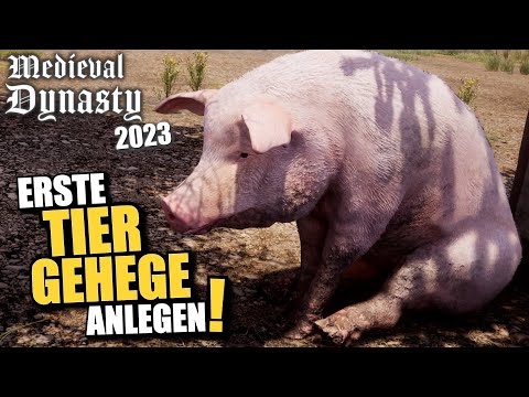 Artgerechte Tierhaltung im Mittelalter! 🐓🐖🐄 | Medieval Dynasty 2023 | #4