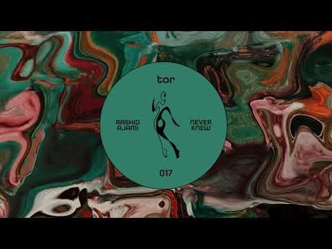 Rashid Ajami - Never Knew