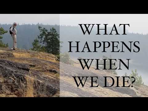 What happens when we die? Rupert Sheldrake