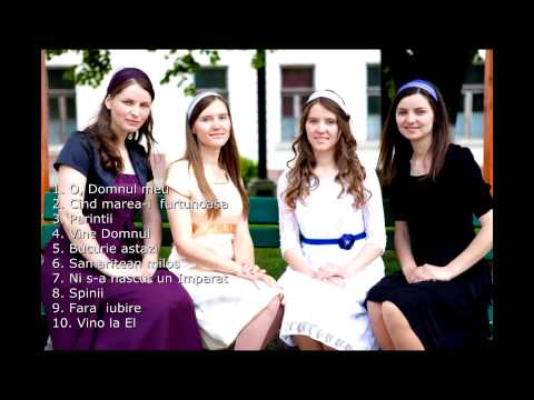 Surorile Vorosan - DEMO 2014