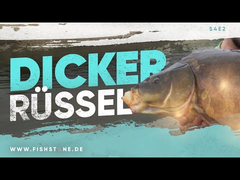 Karpfenangeln an RIESEN Gewässer vom Aluboot - S4E2| FISHSTONE's Angelwelten
