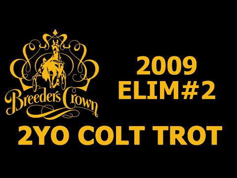 2009 Breeders Crown Elim#2 - Pilgrims Taj - 2YO Colt Trot