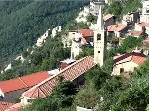 Recensioni notte dellanca trattamento i sintomi del dolore Infiammazione dei tendini del ginocchio trattata popolare