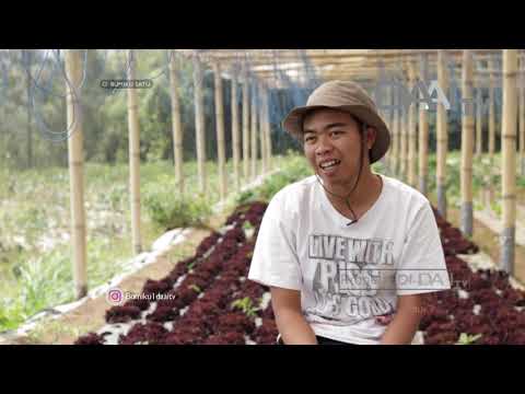 download lagu mp3 mp4 Petani Muda, download lagu Petani Muda gratis, unduh video klip Petani Muda