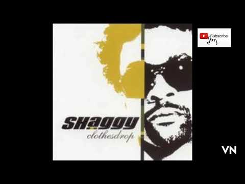 Shaggy - Wild 2nite.