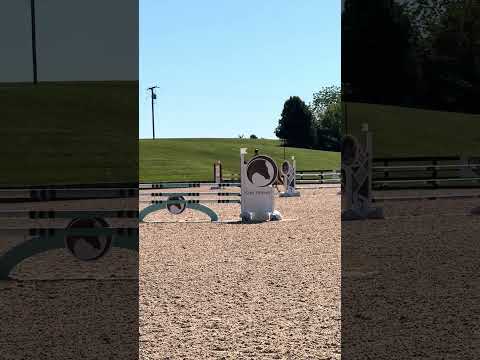 Cooley Limited Edition video 3
