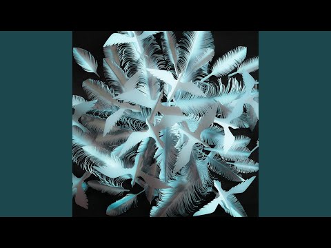 Wings - Joshua Woo