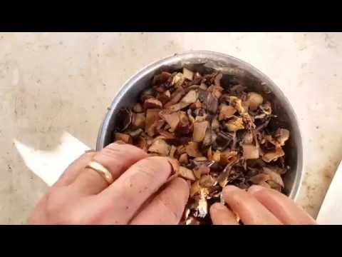 Small Worm Bin Week 14 Update