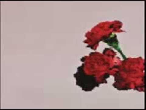 Video thumbnail for Dreams