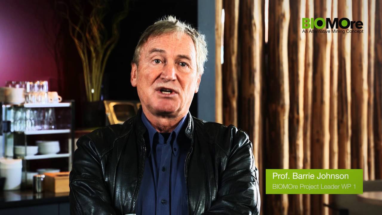 BIOMOre - Work package 1