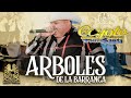 El Coyote y Su Banda Tierra Santa - Árboles De La Barranca (En Vivo)