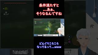 【ゼルダの伝説ティアーズオブザキングダム】そんな性質なのね。#Shorts