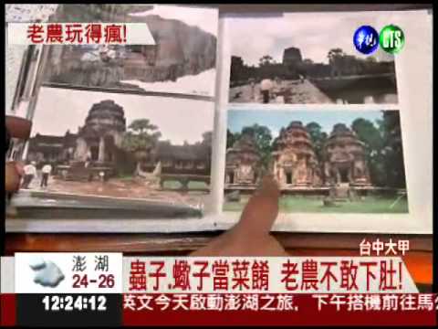 米價好.津貼多 老農流行出國玩!