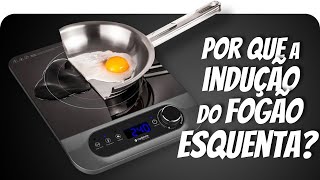 Indução, efeito skin e histerese eletromagnética em um único eletrodoméstico!