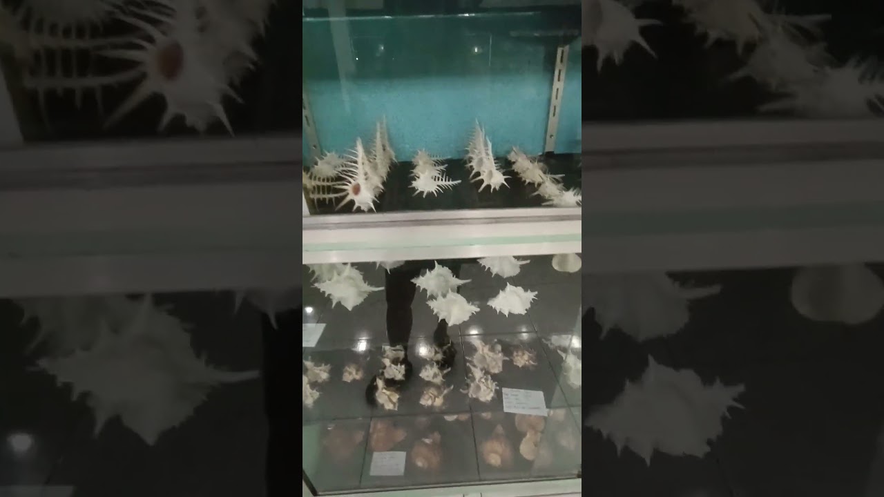 YouTube Short thumbnail