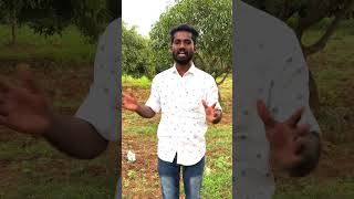 Download lagu Natham to Madurai Highway ⛰️Sarvaseva Paalpannai ☑️Land at 10 cent mp3 Download lagu Natham to Madurai Highway ⛰️Sarvaseva Paalpannai ☑️Land at 10 cent mp3