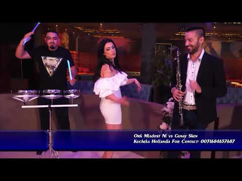 Ork Mladost x Gunay Shen Holandiya Kocek 2024