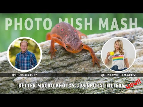 Photo Mish Mash - Better Macro Photos | Amazing PS Neural Filters