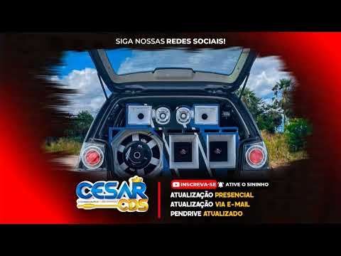 SELEÇÃO DE SWINGUEIRA - OUTUBRO 2023