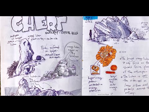 The Nature Journal Connection, Episode 38: Fast Sketching Tips
