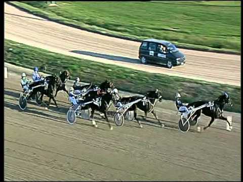 Trotto 19/11/2015 - 2° corsa