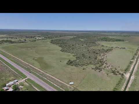 VENTA | CAMPO 100 HA | SOBRE RN 12 