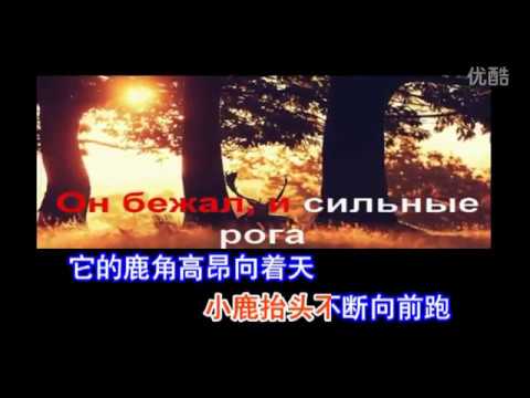 苏联歌曲 《森林的小鹿》"Лесной  олень"  - 中文版