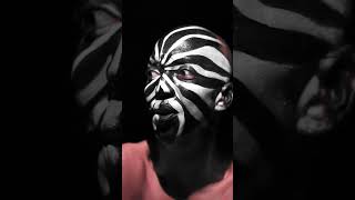 #zebra #eyeamki #shorts