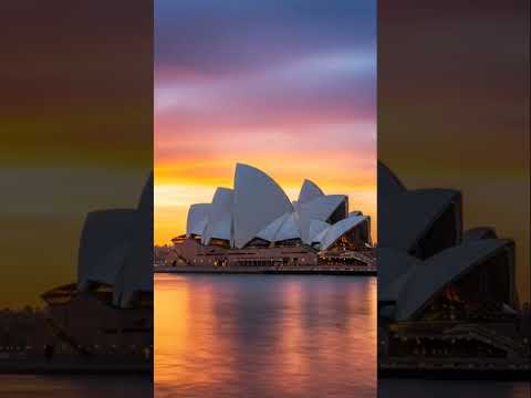 Thumbnail for #DreamScreenAI #music #funny # #riseofrugby #cute  #cruiseship