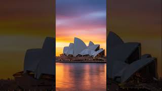 #DreamScreenAI #music #funny # #riseofrugby #cute  #cruiseship