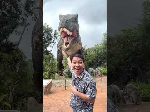 Khủng Long nhỏ-khủng Long to- Khủng Long siêu to khổng lồ #lanatrinh #funny #shortsvideo