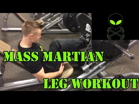 Muscular Strenght Title