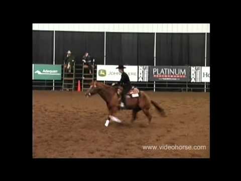 Watch This Way 2010 NRHA Futurity Show