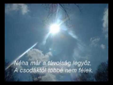 Lord - Fehér galamb