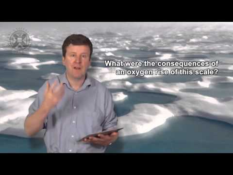 4.3. ASTROBIO - The Great Oxidation Event