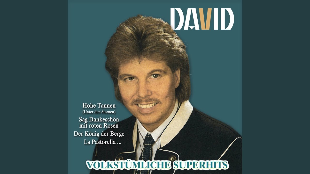 text sag dankeschön mit roten rosen