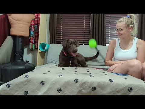 Willow's Out 05-15-2022