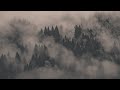 Sycamore Trees Jimmy Scott Twin Peaks Slowed Reverb