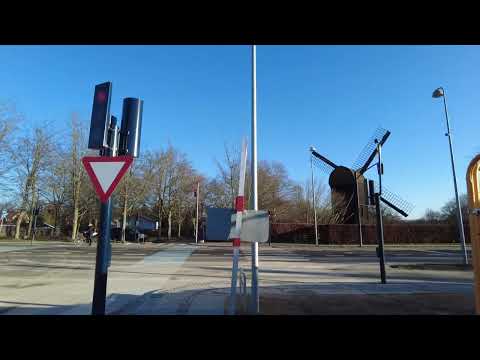 MongoTV_8108 - MIN GÅTUR - Del 5 - FREDAG 14.Janaur 2022 - Flot Sol og Blå Himmel Med Blæst