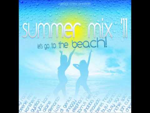 Summer Mix 2011 (reggae/dancehall)