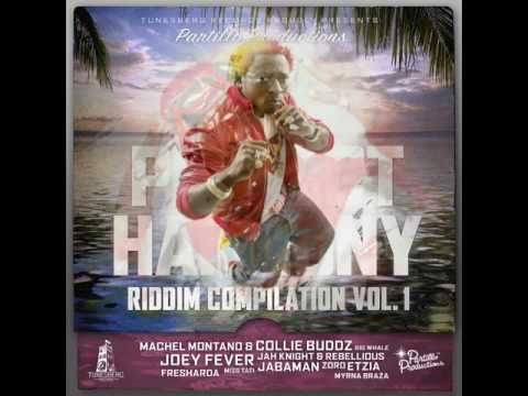 PERFECT HARMONY MEGA REMIX PART2 MAY 2011 Shakira Sean Paul Buju Banton Beenieman Capleton & MORE