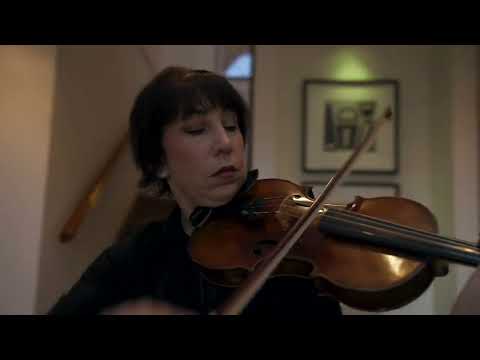 17 Hodgkinson Street, Griffith, ACT 2603, 6 slaapkamers, 3 badkamers, House