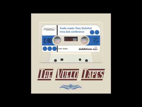 Vuelo meets Tony Dubshot - Corporate Naming Test (Dubshot's Disco Nection Redub)