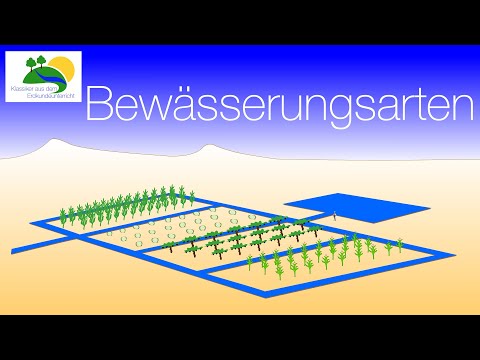 Irrigation types💦: furrow irrigation, carousel irrigation and drip irrigation #irrigation